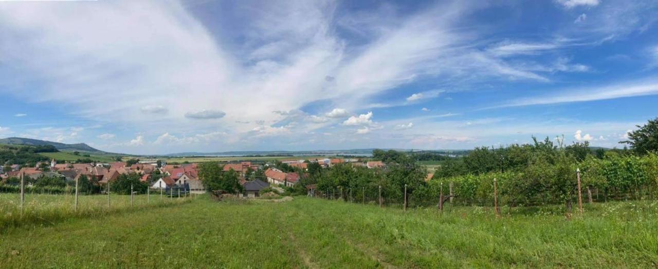 Prazdninovy Dum Na Palave S Vinnym Sklepem Milovice  المظهر الخارجي الصورة